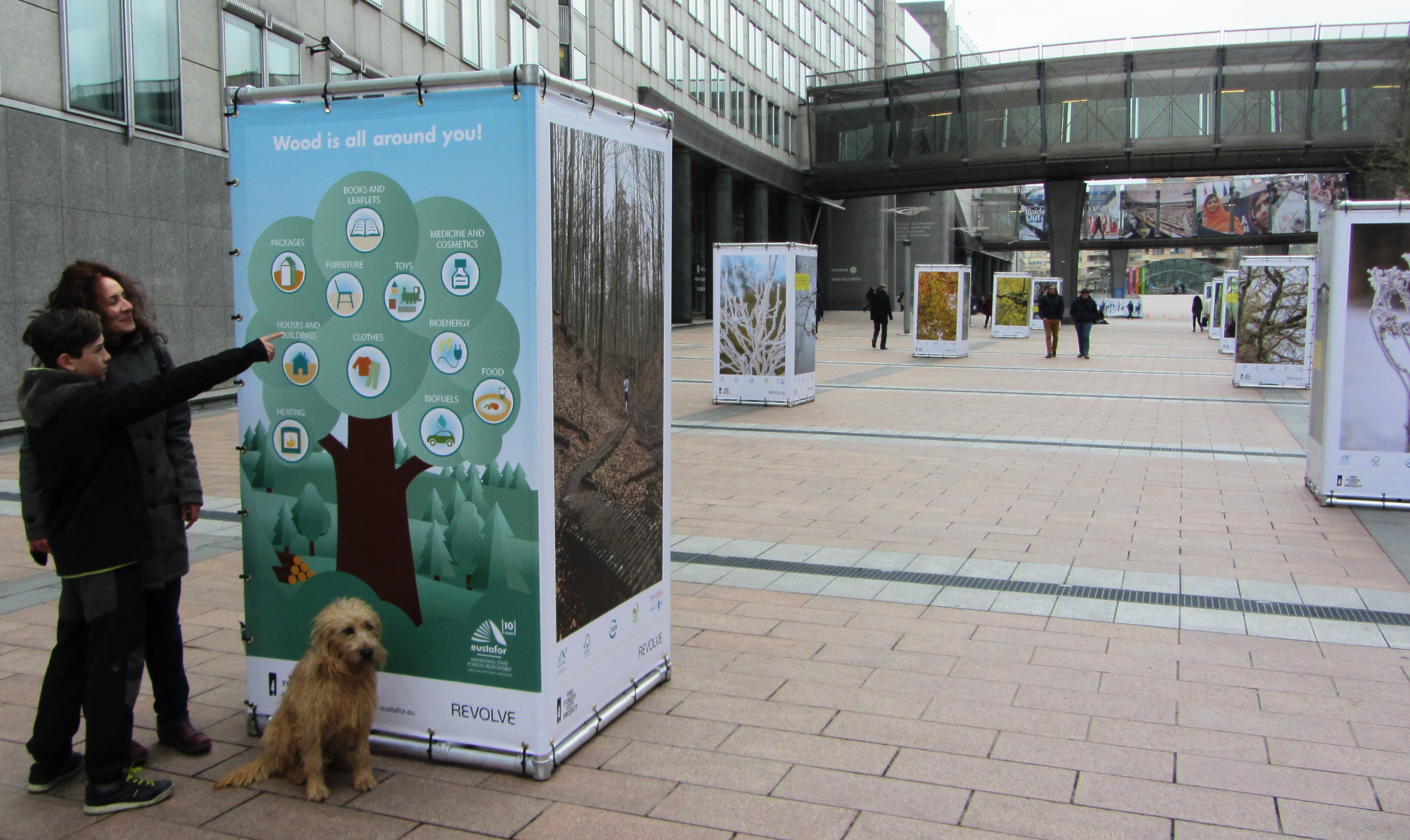 10 cubes showing large forest Posters infront of the European Parliament