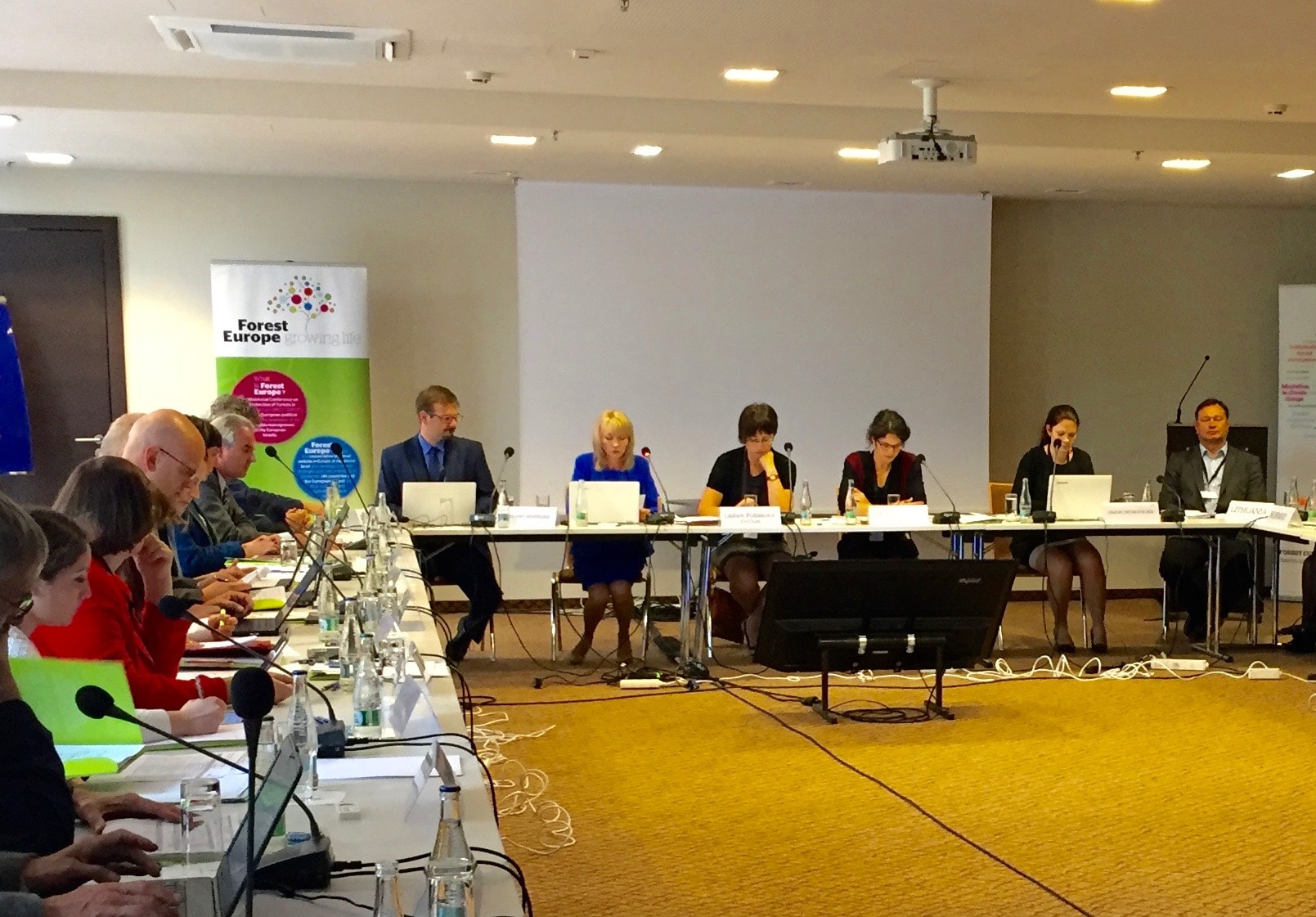 WG on the future directions of Foret Europe (Bratislava 2016)