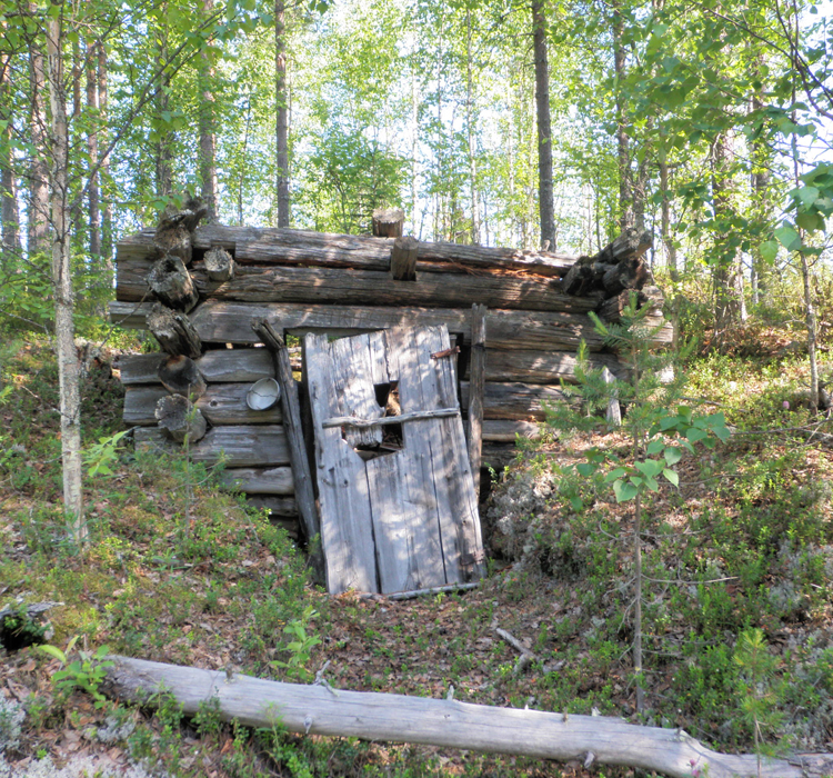The remains of a tar burners’ hut in Nurmes. The building, partially dug underground, dates back to the 1950s and the text “Hikipesä” (Sweat Den) is engraved above the door. Photo: Ville Laurila/Metsähallitus.