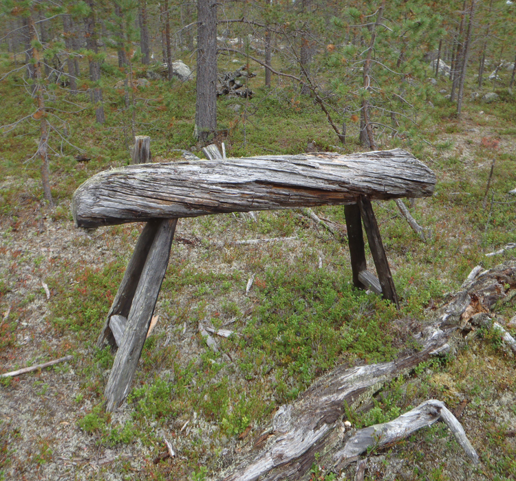 A wooden vaulting horse still stands next to a World War II Soviet soldiers’ gymnastics pitch, close to Matjärvi in Inari. Photo: Juha-Pekka Joona/Metsähallitus