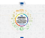 EU consults the Roadmap for a Strategy for long-term reductions of greenhouse gas emissions