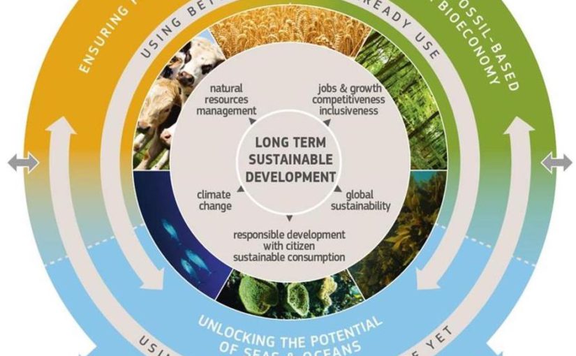 EU Bioeconomy Strategy seeks for a systematic approach to address the bioeconomy value chain